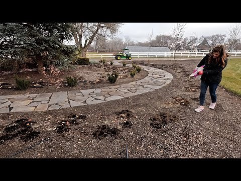 Geranium Update, Seed Haul & Planting Bulbs in the Garden (inJanuary 😱)! 🌷🌱 // Garden Answer