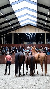 147K views · 3.5K reactions | Het heeft lang geduurd maar ze zijn er...