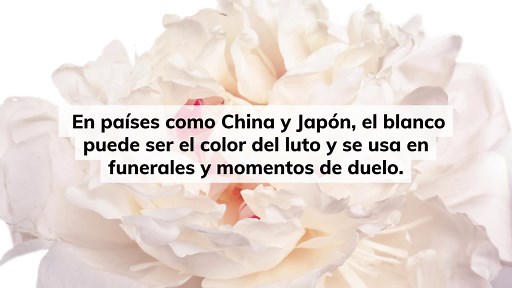 Color blanco: qué simboliza y cómo te influye