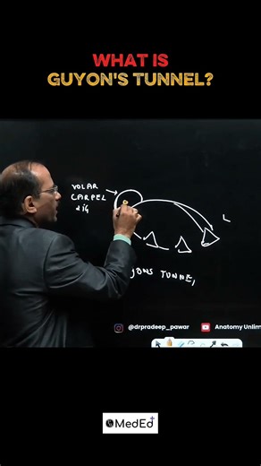 Guyon's tunnel 🤔#anatomy #pw #drpradeeppawar #science #todayviral #treding #reel #shorts