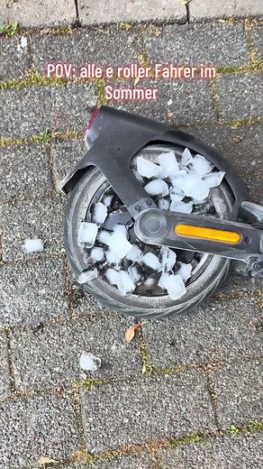 POV: alle E-Roller Fahrer im Sommer — Ninebot F3 Pro Fahrgefühl
