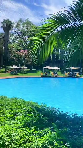Cabanas Sun City 🌴 #hotel #southafrica #weekend #suninternational #suncity #pool #suncityresort #fyp