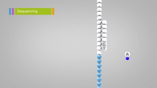 Illumina Sequencing by Synthesis(合成测序)