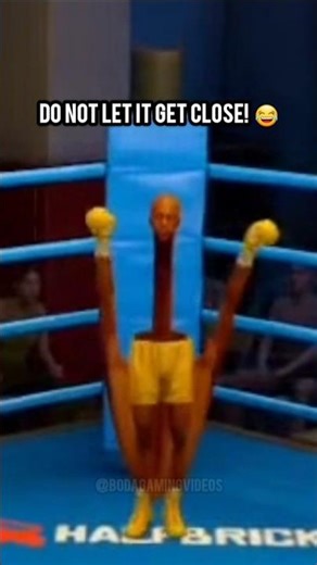 Don't let it get close! #vr #boxing #funny