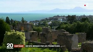 Carthage et ses 3000 ans d'histoire une cité menacée - Des villas de luxe se mettent à pousser sur les ruines de la cité antique sur des sites cent pour cent classés au patrimoine mondial de l'UNESCO. Certain monuments sont menacés de disparaitre. | Tunisia Daily