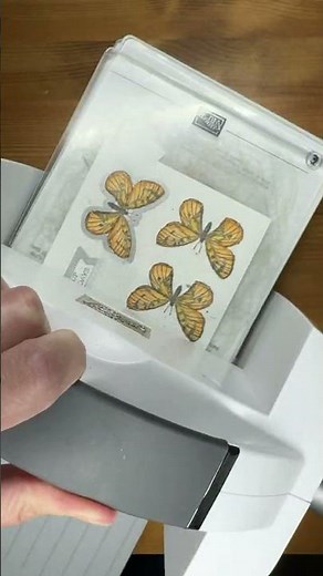 Stampin' Up! Sketched Butterflies Thank You Card #diy #papercrafting #patternedpaper #cardmaking