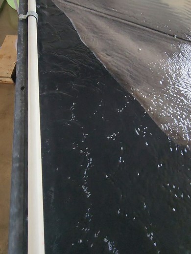 Indogold Mining Shacking Table for PGM Concentrate