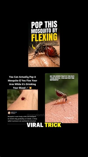 You CAN’T Kill a Mosquito by Flexing Your Arm 😳🦟 #shorts #viral #facts