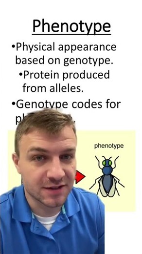 Phenotype