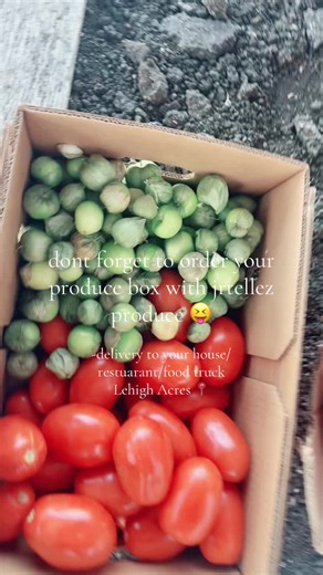 Order Fresh Produce Boxes Delivered to Your Door