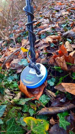 Treasure Hunter Finds Templar Knight's Crest with metal detector #metaldetecting #viralshorts