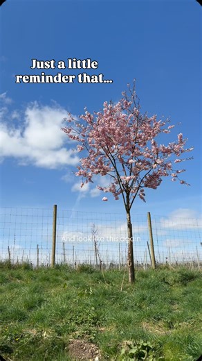 Miss Alresford Hampshire 🇬🇧 on Instagram: "Thinking of everyone during this long and heavy winter. It’s been a very difficult week for so many of us and I just wanted to share something calm with this little reminder - spring is nearly here 💗☀️ From pretty blue skies and colourful flowers decorating our town to ducklings, sparkling river walks and that fresh Alresford countryside air… there’s so much to look forward to ✨🌼 We’re nearly there 💗 ~~~~~~~~~~~~~~~~~~~~ #alresford #hampshire #spri