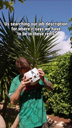 Exploring Zip Lines and Intex Pools: Your Ultimate Guide