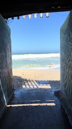 Dove Shower Gel for Hydrated Skin at the Beach