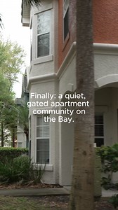 Live in waterfront apartments perfectly positioned between Tampa and St. Pete. Bayside Arbors gives you easy access to US-19, pristine beaches, coastal parks, grocery, dining, and everyday conveniences—while still offering peaceful, resort-style living right on the bay. | Bayside Arbors of Clearwater