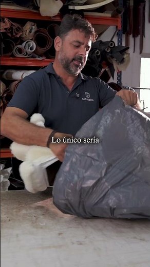 🐑 ¿Tu zalea tiene bichos? Te enseñamos cómo eliminarlos paso a paso