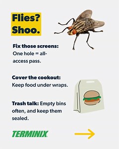Terminix on Reels | Facebook