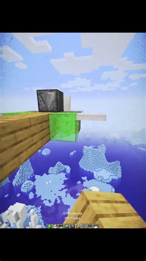 Minecraft Mini Airplane (100% Working) Moment