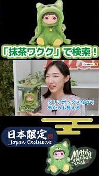 和風かわいい💖抹茶シバイヌのワククぬいぐるみ登場！