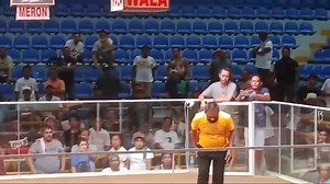 Sabong or cockfighting in the Philippines is Legal unlike some parts of the World.. Pagstag sa RockWell breed, ganyan sila maglaro.. | Ruwel Peter Gonzaga