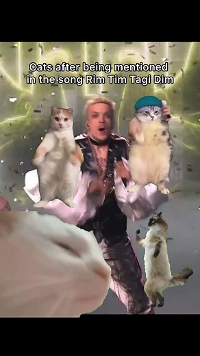 Croatia Meme: Eurovision Memes and Funny Content