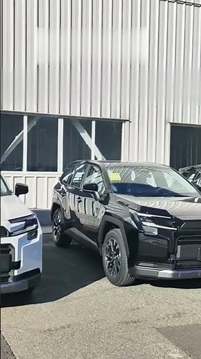 Which Toyota Woodland Color Should YOU Choose?