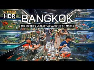 🇹🇭 4K HDR | Inside The World’s LARGEST Aquarium Fish Market! | Chatuchak Fish Market Bangkok