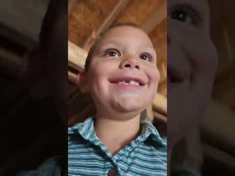 Plaza's Birth! (Goat Birth)