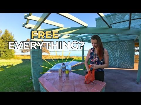 Are VanLifers Freeloading Off Society?