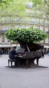 Se la primavera fosse un video o un suono, sarebbe questo. Meraviglioso ❤️ #blooming #spring Una poesia? La mia preferita di #oscarwilde Pieno inverno: il contadino vigoroso Trasporta le fascine della legnaia gelida e batte i piedi contro il focolare. Sul fuoco che langue getta i ceppi freschi e ride perché la vampata spaventa i suoi bambini. Eppure, primavera è nell’aria. Cinta di erba gioia, verde sorridente. E avanti indietro per il campo va il seminatore e dietro a lui ridendo un ragazzino s
