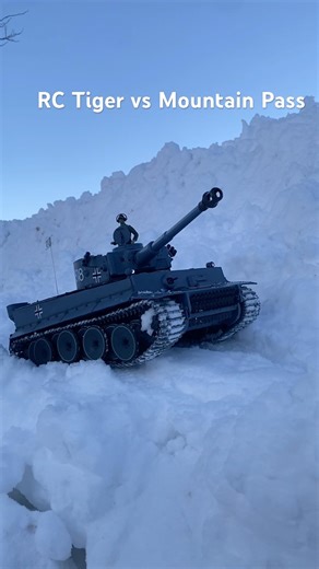 Tiger 1 Early Morning Winter Patrol