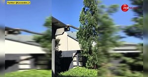 ऑस्ट्रेलिया में घर की छत पर रेंगता दिखाई दिया 16 फुट लंबा अजगर, साइज देख डर के मारे चिल्लाने लगे लोग