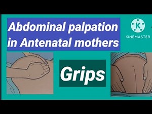how to do palpate the fundal grip and all grips during abdominal palpation in antenatal mother nqas