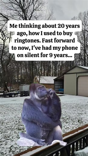 Exploring the Evolution of Memes in Digital Culture