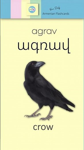 Listen & Learn Armenian: Ագռավ [ agrav ] – Crow | Audio Flashcards
