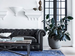 8 Beautiful Living Room Ideas - realestate.com.au