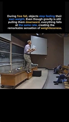 During Free Fall, Objects Become Weightless