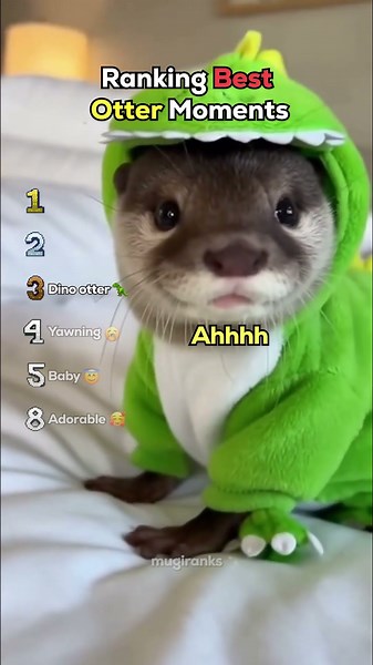 Ranking Best Otter Moments