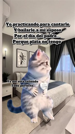 Chiste del día: Ya me está saliendo todo perfecto