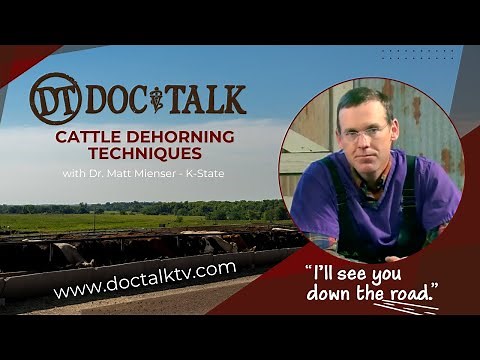 DocTalk Ep 86 - Cattle Dehorning Techniques