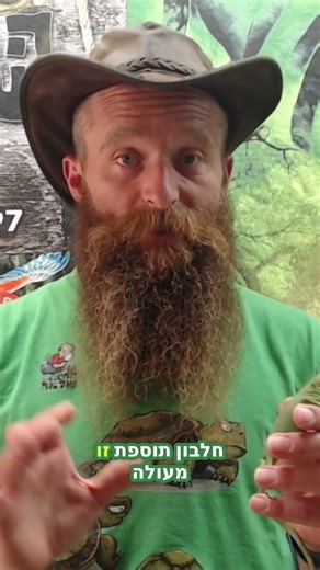 איגואנה למתחילים: טיפים, יתרונות וטיפול נכון #shorts