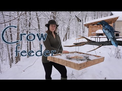 Making a Crow Feeder [from start to finish]