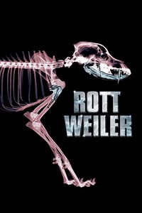 Rottweiler Summary, Trailer, Cast, Where to Watch and More