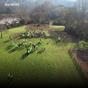 Stressful day? Check out this stunning drone footage from the Forest for Cornwall planting earlier today 🌳🌳🌳 Get the full story here: https://bit.ly/38Oh7gU | ITV News West Country