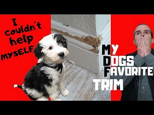 PROBLEMS WITH MDF BASEBOARD INSTALLATION, IS MDF TRIM MOLDING AS GOOD WOOD BASEBOARDS? PETS & FLOORS