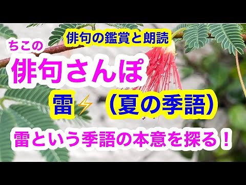 【俳句さんぽ・第78回】雷（夏）季語の本意を探る！⚡️