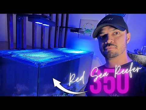 INTRODUCING MY RED SEA REEFER 350 #redsea #redseareefer350