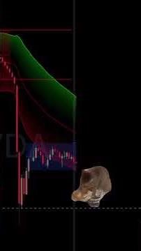 "Invest wisely 💰🔥🚀