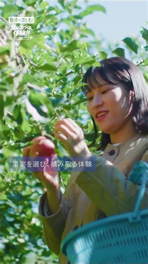 魚津市観光プロモーション動画「魚津で楽しむ！思い出づくり体験‼～果樹狩り編～」【富山県魚津市＃5-4】（日本語／9×16）