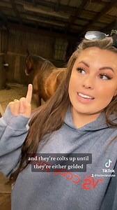 167K views · 9.1K reactions | Common horse terms I use going into foaling season! | Katie Van Slyke | Facebook